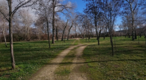 Parque de Los Sifones de Talavera de la Reina (Toledo)