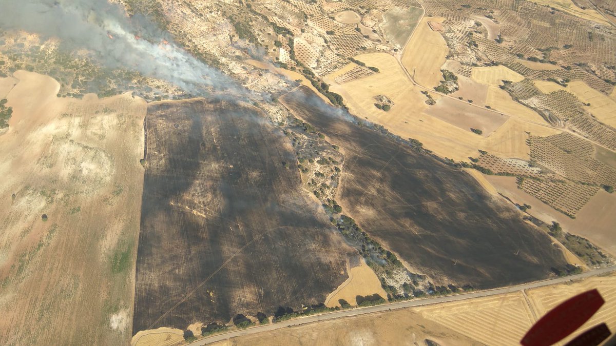 Incendio en Cañaveruelas.