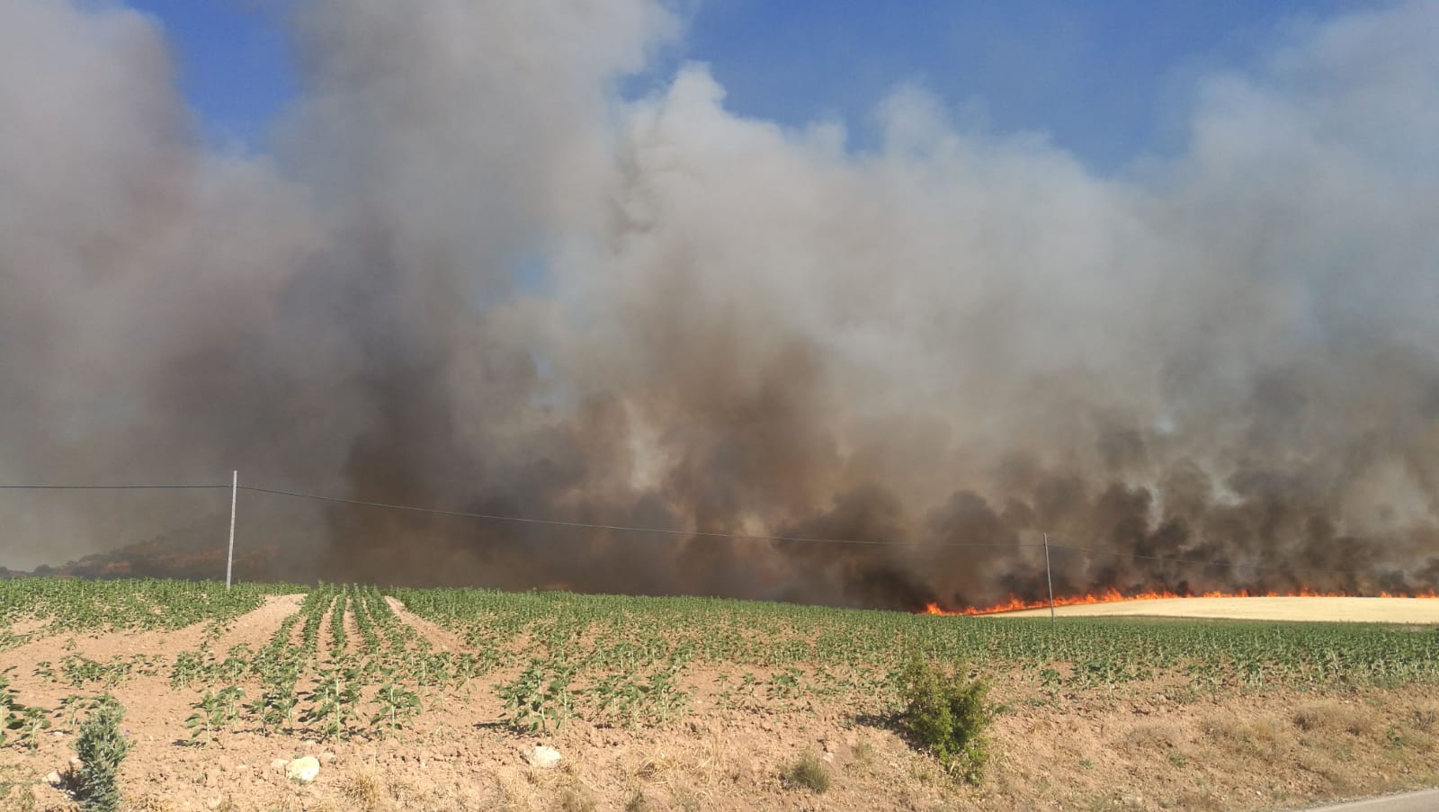 Incendio en Cañaveruelas (Cuenca).