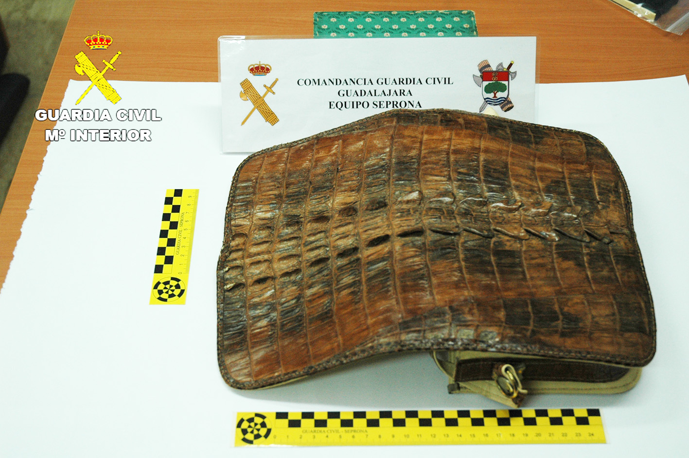 Este bolso de piel de cocodrilo del Nilo fue incautado en la provincia de Guadalajara.