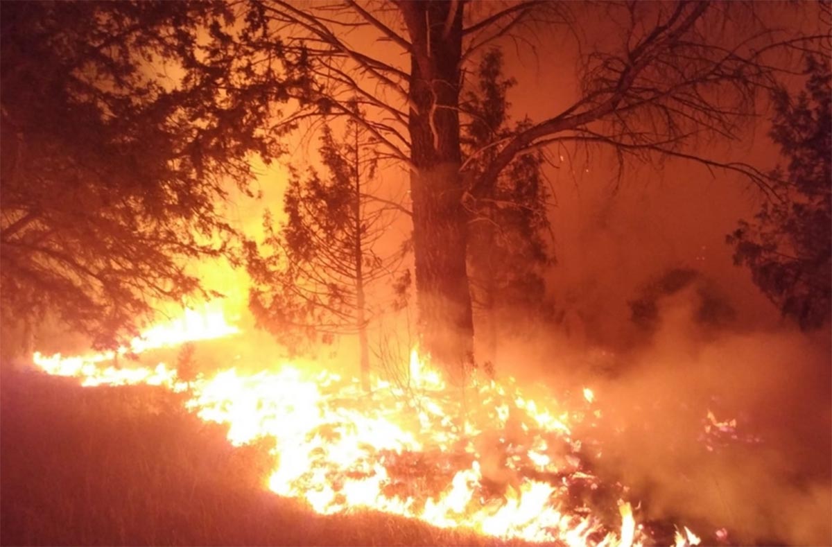El fuego de Barchín del Hoyo ha afectado a Piqueras del Castillo