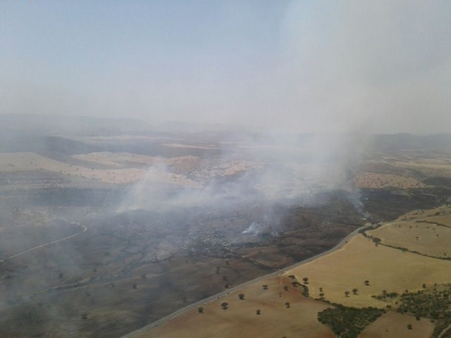 Incendio forestal