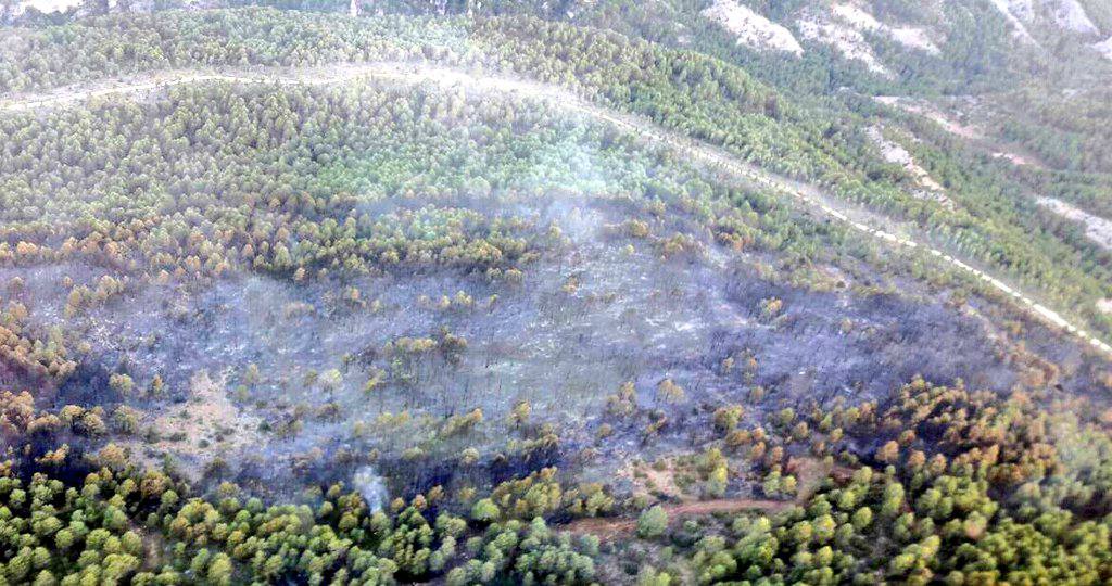 Imagen del incendio que ha afectado a la Serranía de Cuenca. Foto: @BRIFpradotwit