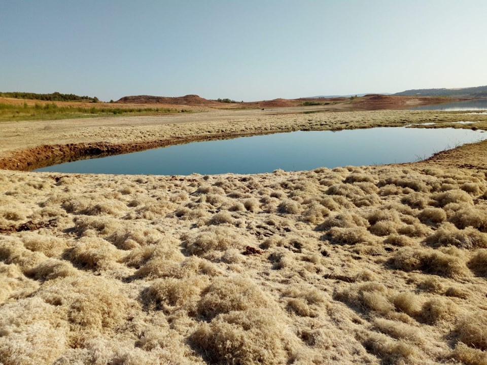 Esta es la lamentable imagen que presenta en agosto de 2019 el embalse de Buendía.