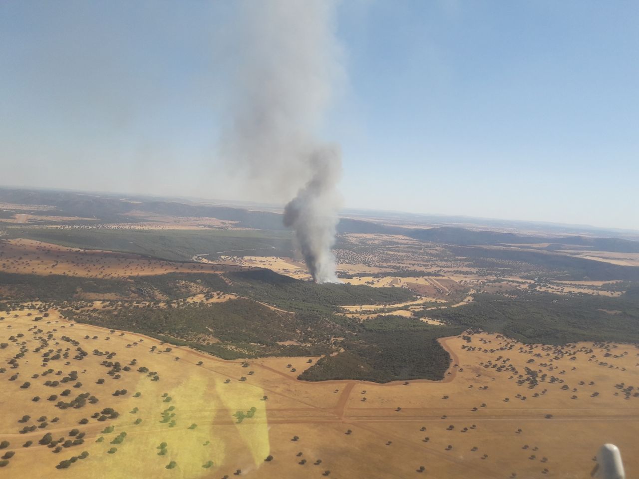 Incendio forestal en Luciana (Ciudad Real).