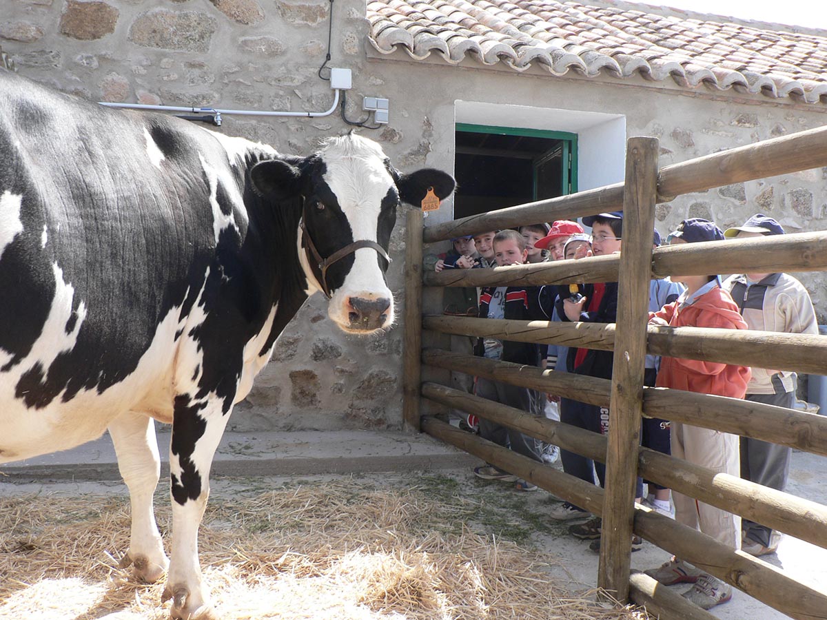 Una de las actividades que se desarrollan en la Finca El Borril