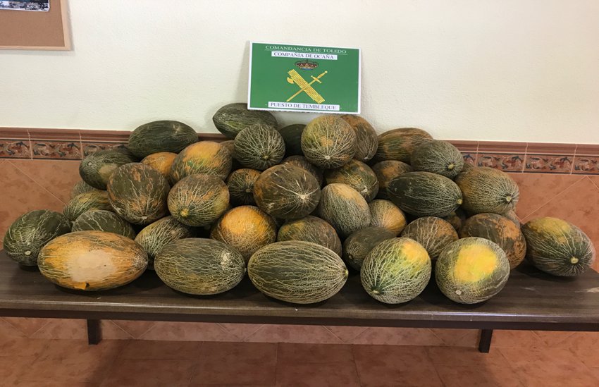 Algunos de los melones robados en Tembleque.