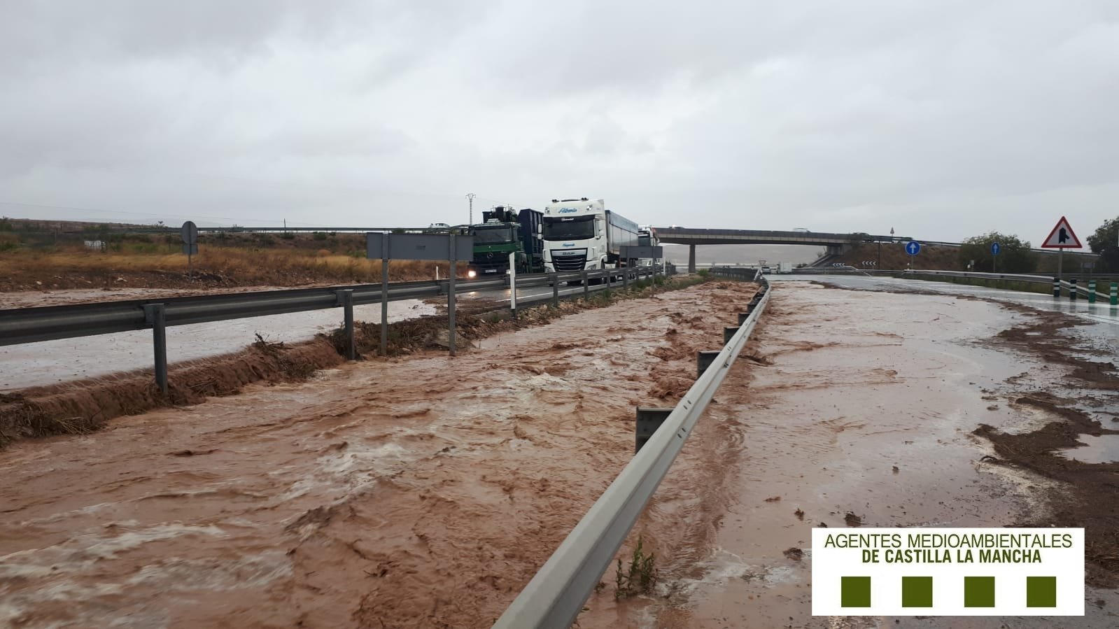 Un río de agua atraviesa la A-31. Foto: Agentes Medioambientales de Castilla-La Mancha.