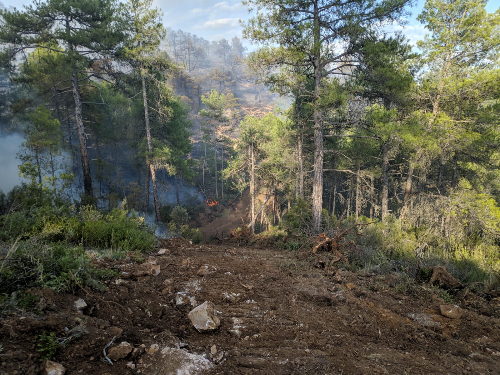 Imagen de uno de los cortafuegos realizados en el incendio de Monteagudo de las Salinas.