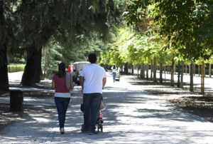 Pareja, matrimonio, divorcio