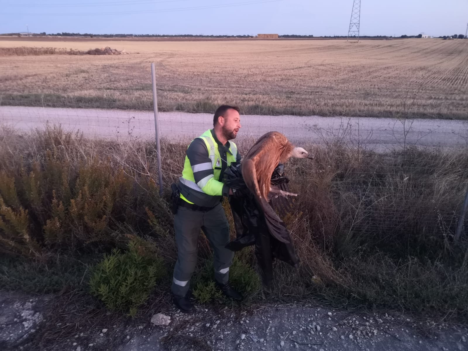 El guardia civil Juan rescató al buitre leonado en la A-2.