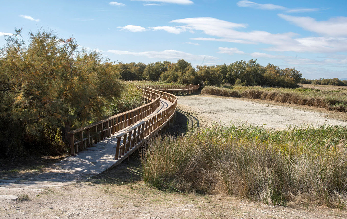 Así están las Tablas de Daimiel. Qué pena.