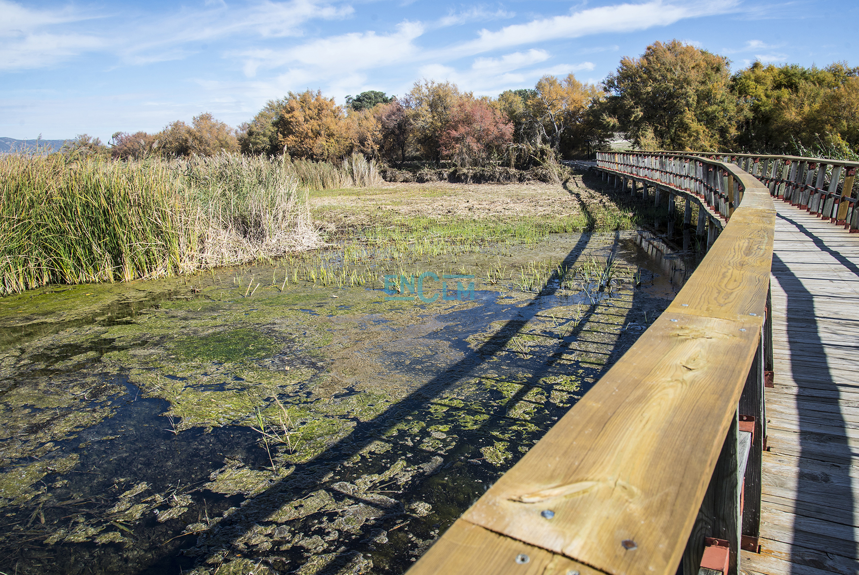 Las Tablas de Daimiel en noviembre de 2019.