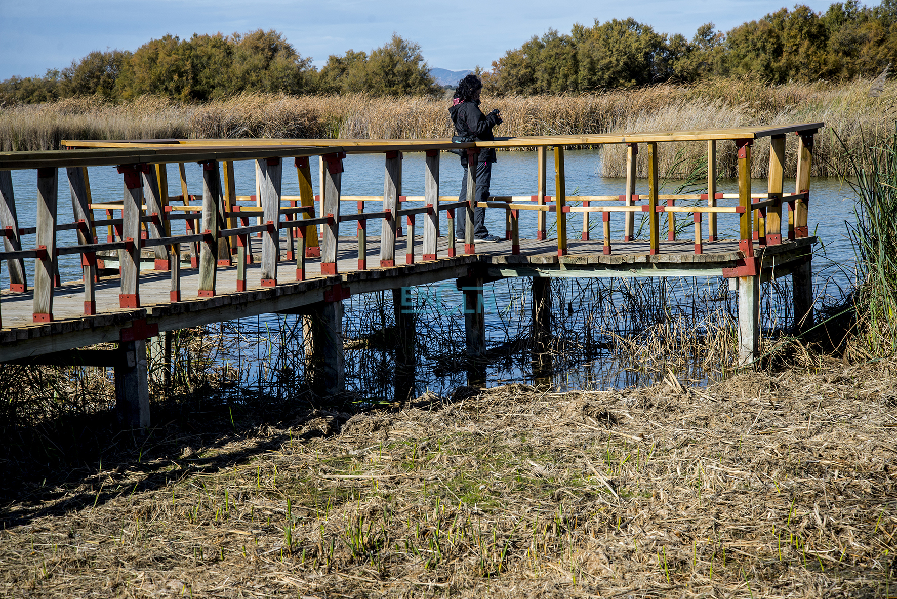 Las Tablas de Daimiel en otoño de 2019.