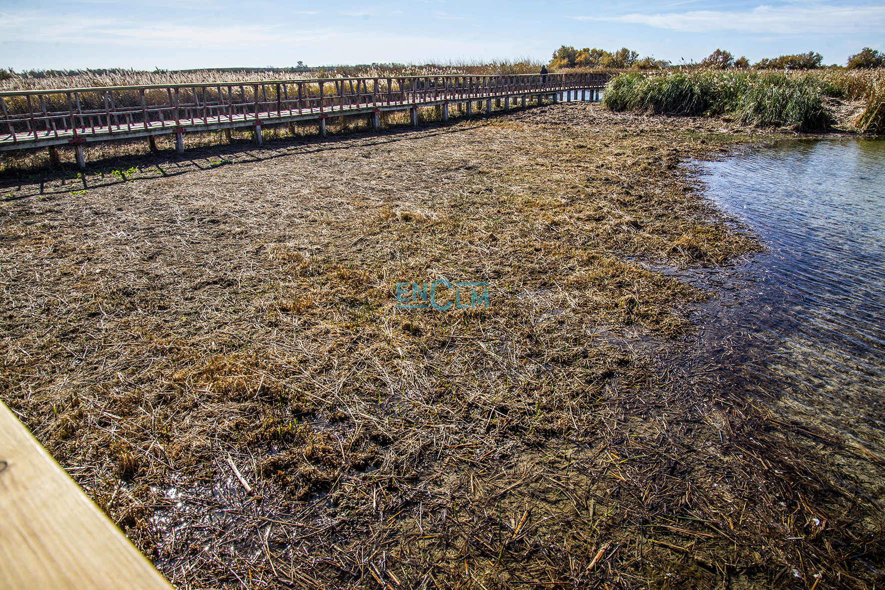 Así estaban las Tablas de Daimiel el sábado 9 de noviembre.