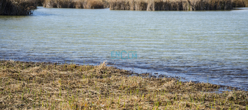 Las Tablas de Daimiel, en una imagen de este mes de noviembre.