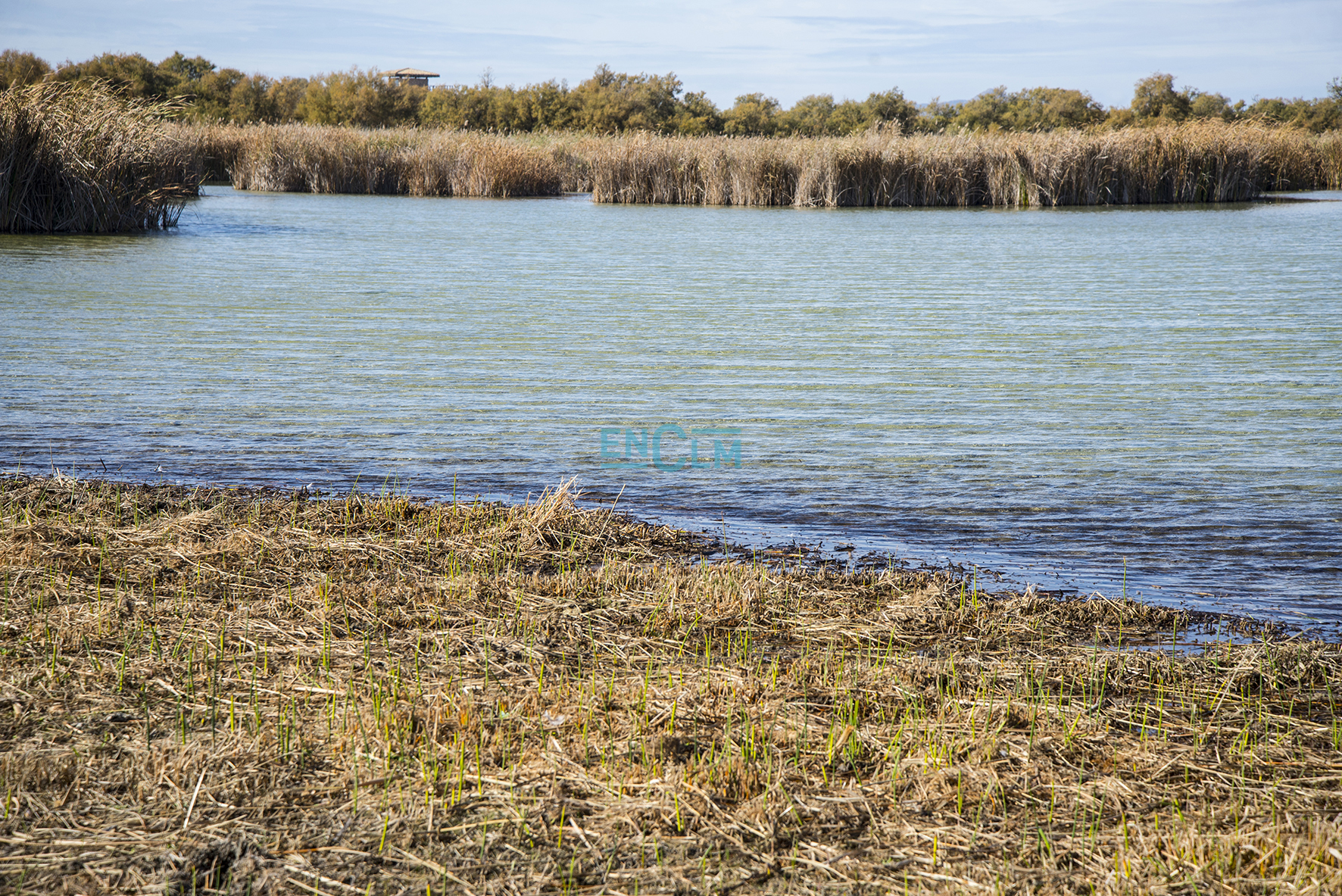 Las Tablas de Daimiel, en una imagen de este mes de noviembre.