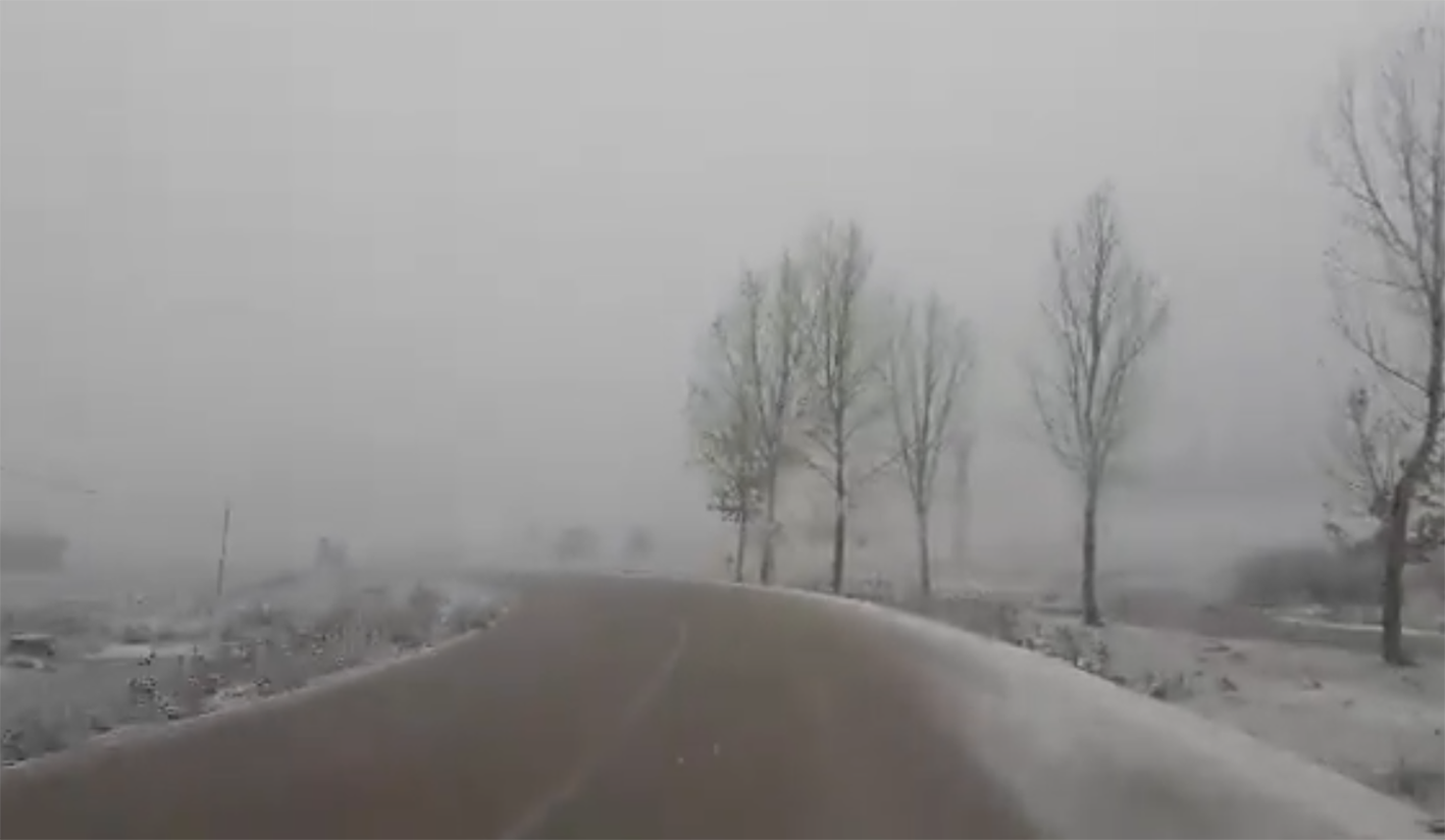 Ecologistas pide que se consideren las graves consecuencias que sufre la fauna tras la nieve.