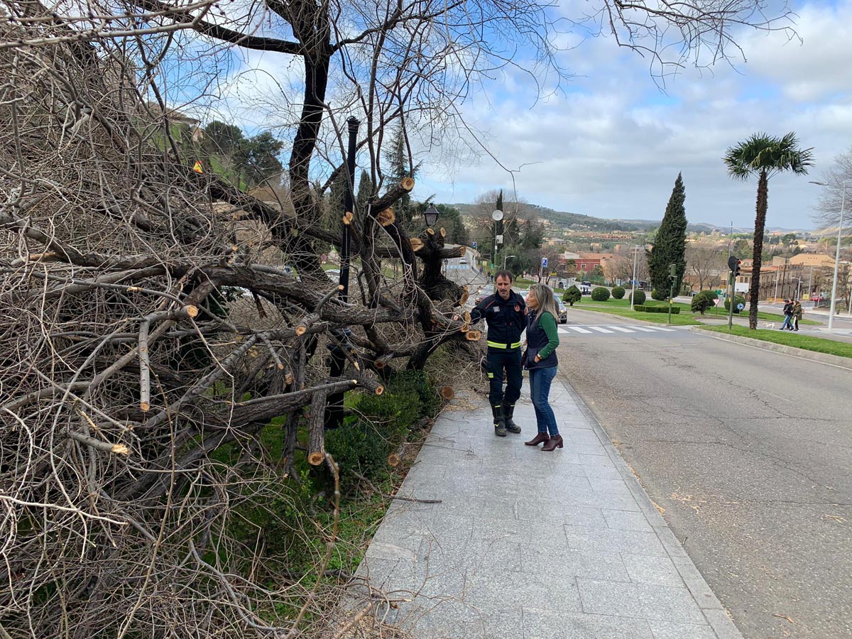 Milagros Tolón, delante del árbol que los vientos derribaron detrás de la Oficina de Turismo