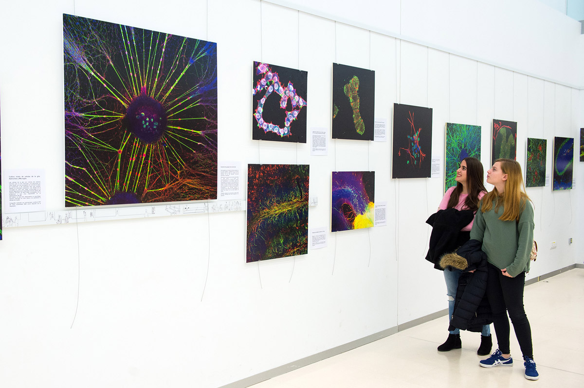 Exposición “Medularte”.