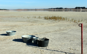 Las lagunas de Villafranca están atravesando una delicada situación.