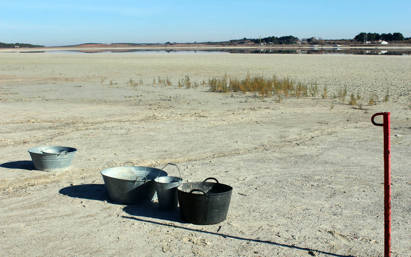 Las lagunas de Villafranca están atravesando una delicada situación.