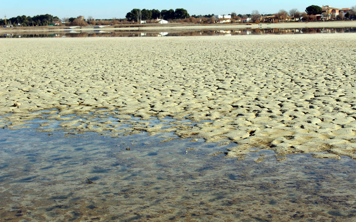 Una cadena humana pedirá la preservación de los humedales manchegos.