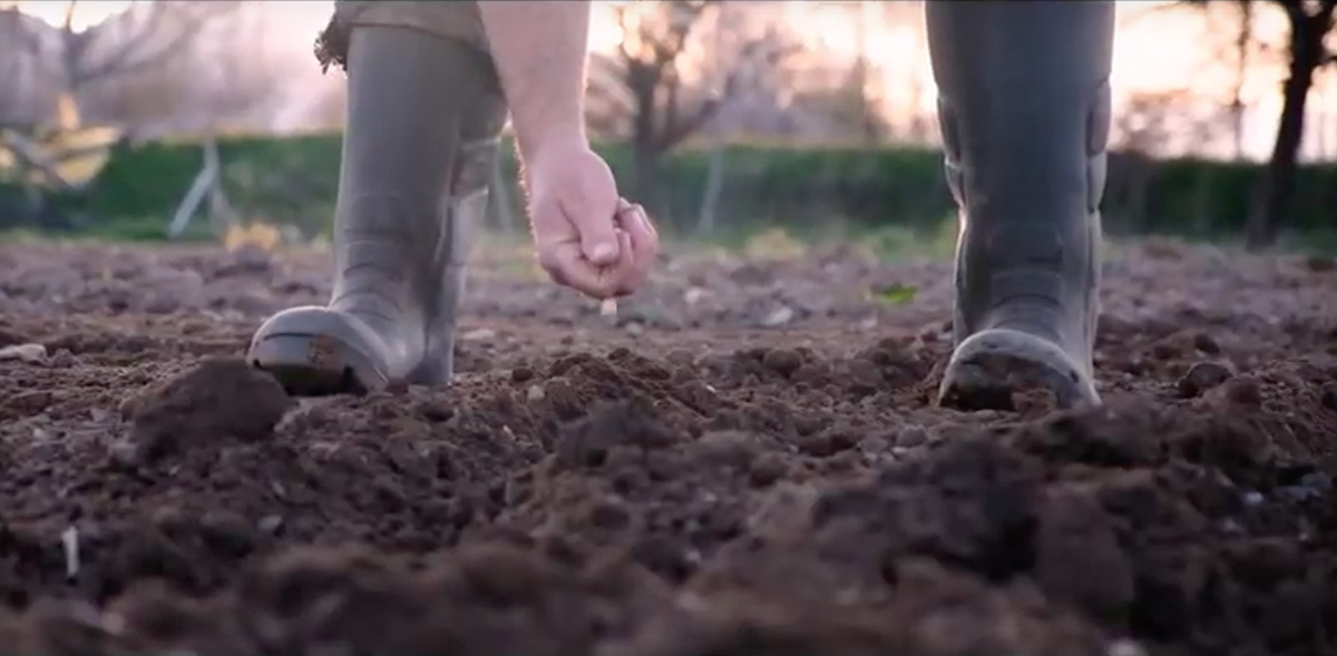 Imagen del video de la campaña presentada por Sergio Gutiérrez.