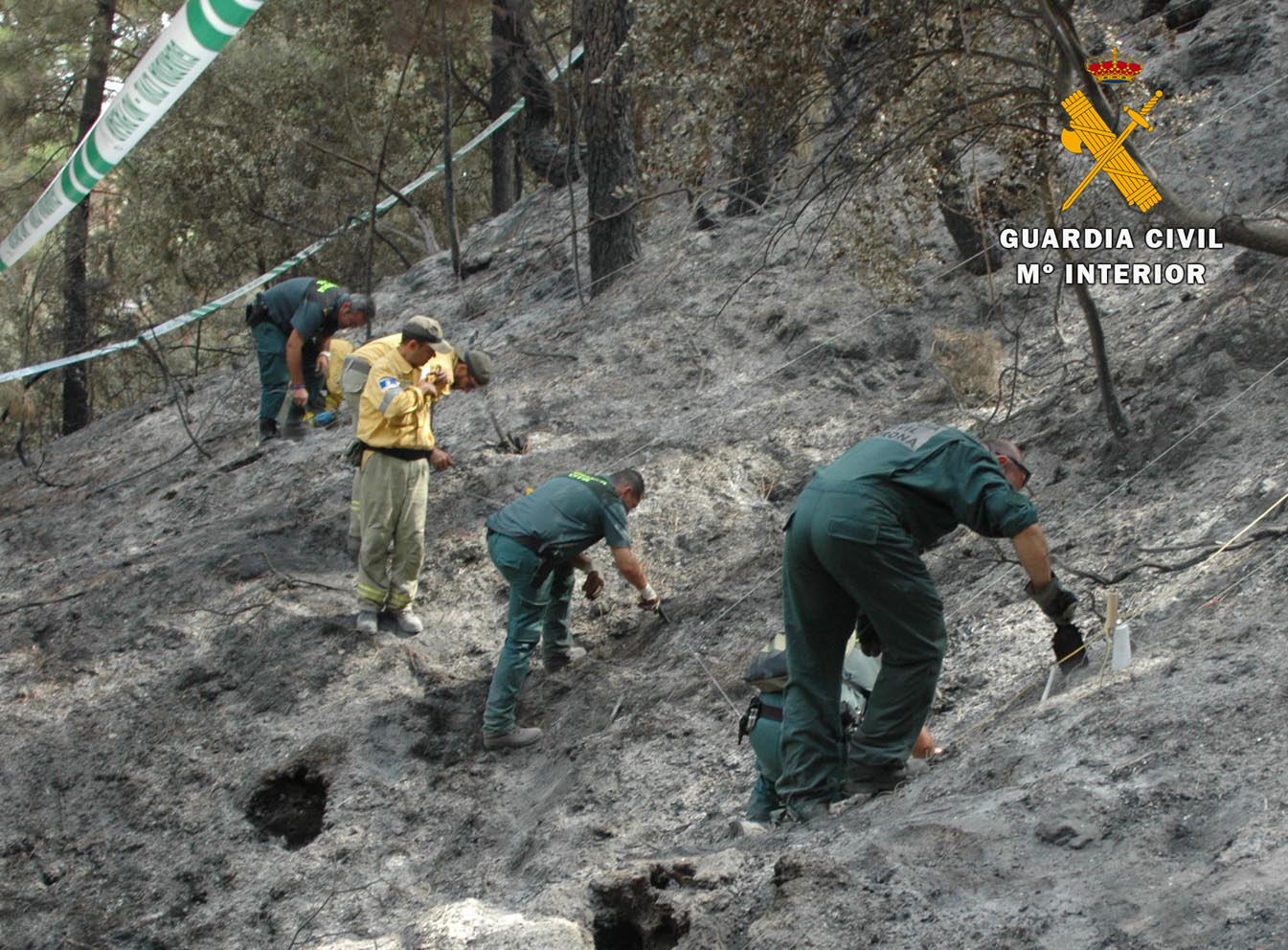 Agentes de la Guardia Civil y de la BIIF inspeccionando el terreno incendiado.