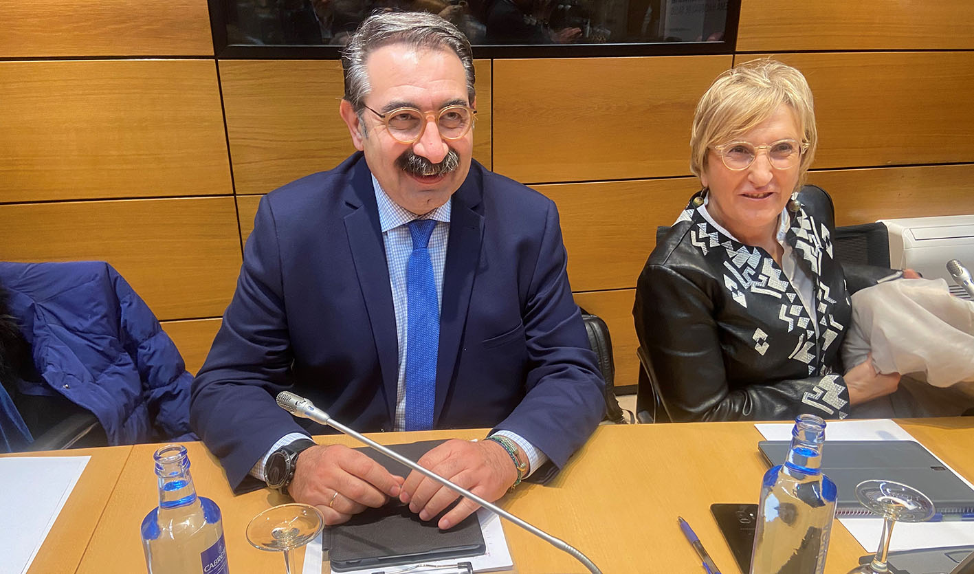 Jesús Fernández Sanz, consejero de Sanidad, en la reunión del Consejo Interterritorial del Sistema Nacional de Salud.