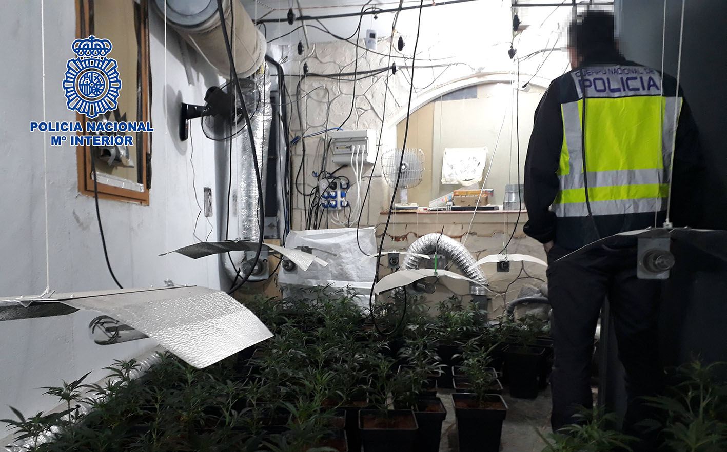 La marihuana estaba en la azotea de una vivienda unifamiliar en Velada.