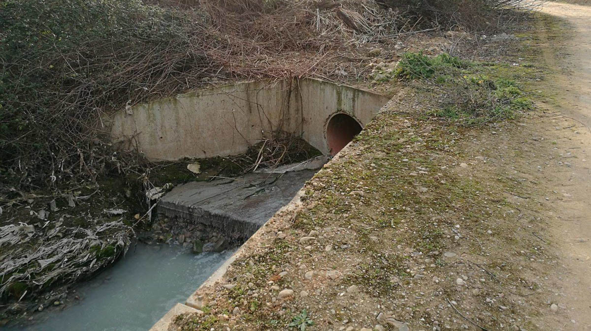 Vertido ilegal de aguas residuales al arroyo Cabanillas.