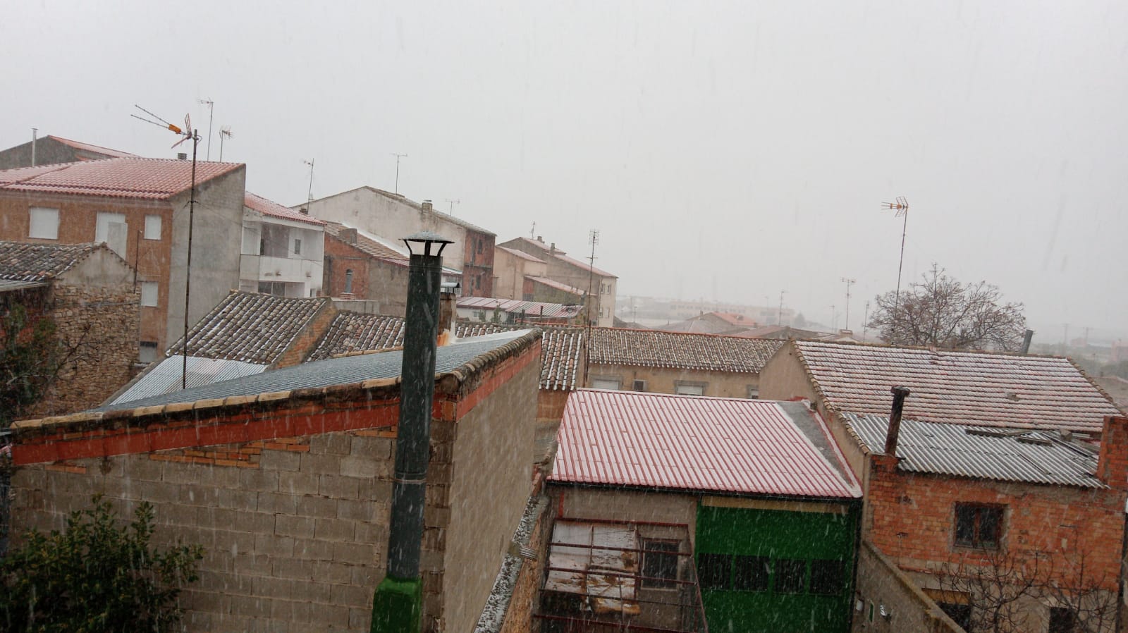 Cae nieve en Munera (Albacete)