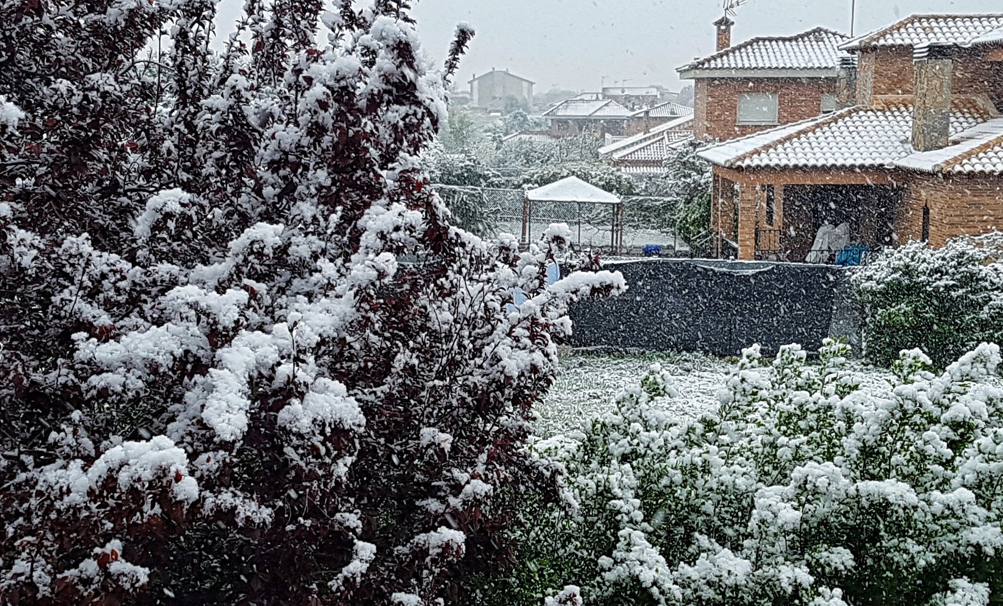 Nieve en Guadalajara a finales de marzo