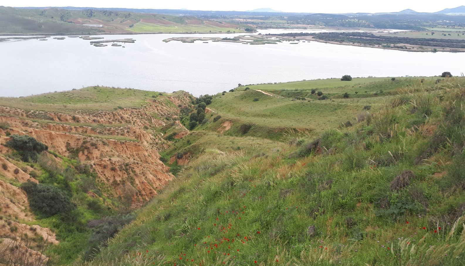 Barrancas de Burujón en la primavera de 2020