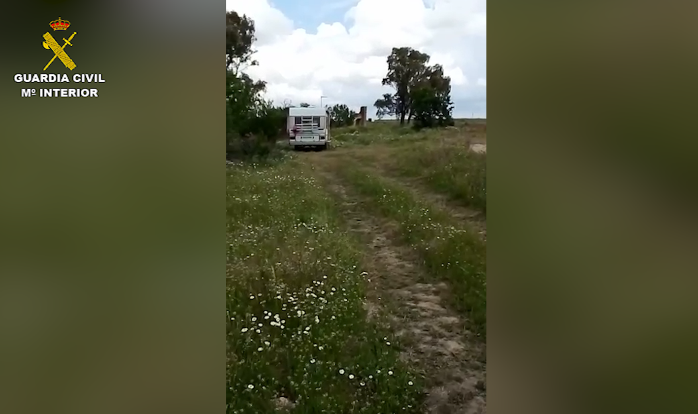 La autocaravana, al fondo, junto a un árbol en el que hay un nido de águila imperial ibérica.