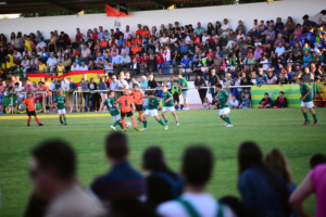 Campeonato benjamín Villaseca de la Sagra
