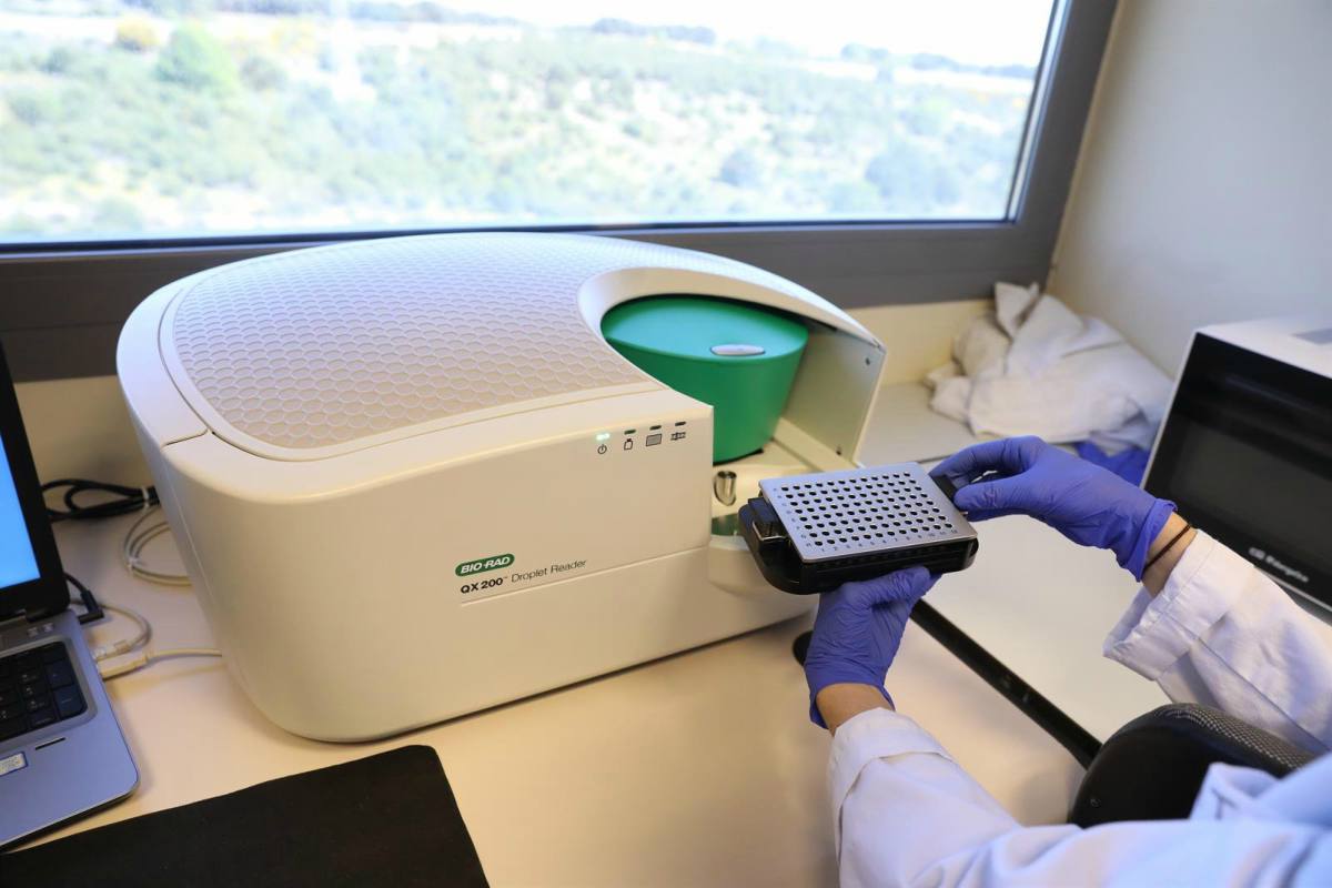 Una bióloga trabaja con un PCR digital.