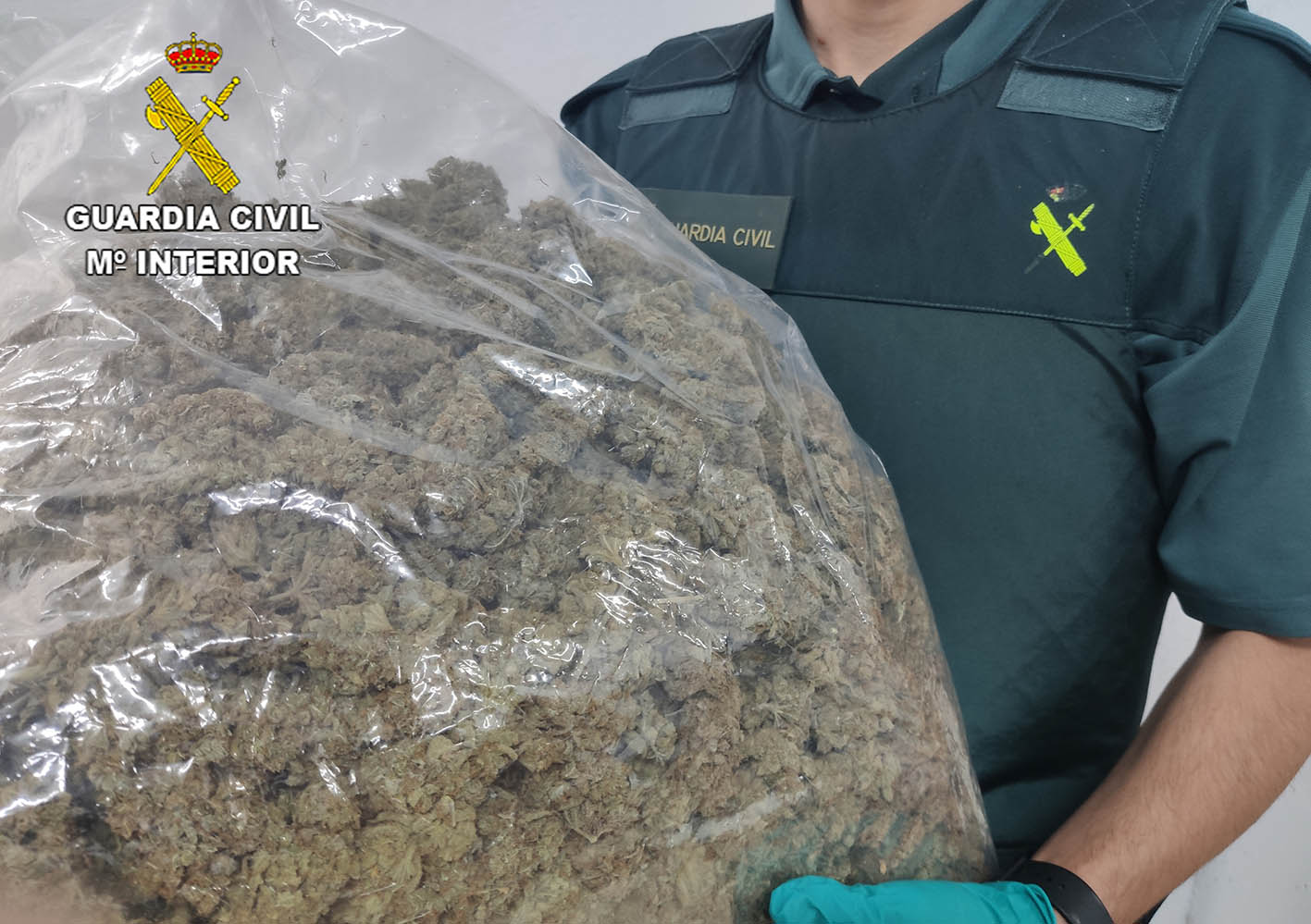 Incautación de 8.740 kilogramos de marihuana en Illana (Guadalajara) en una operación de la Guarcia Civil.