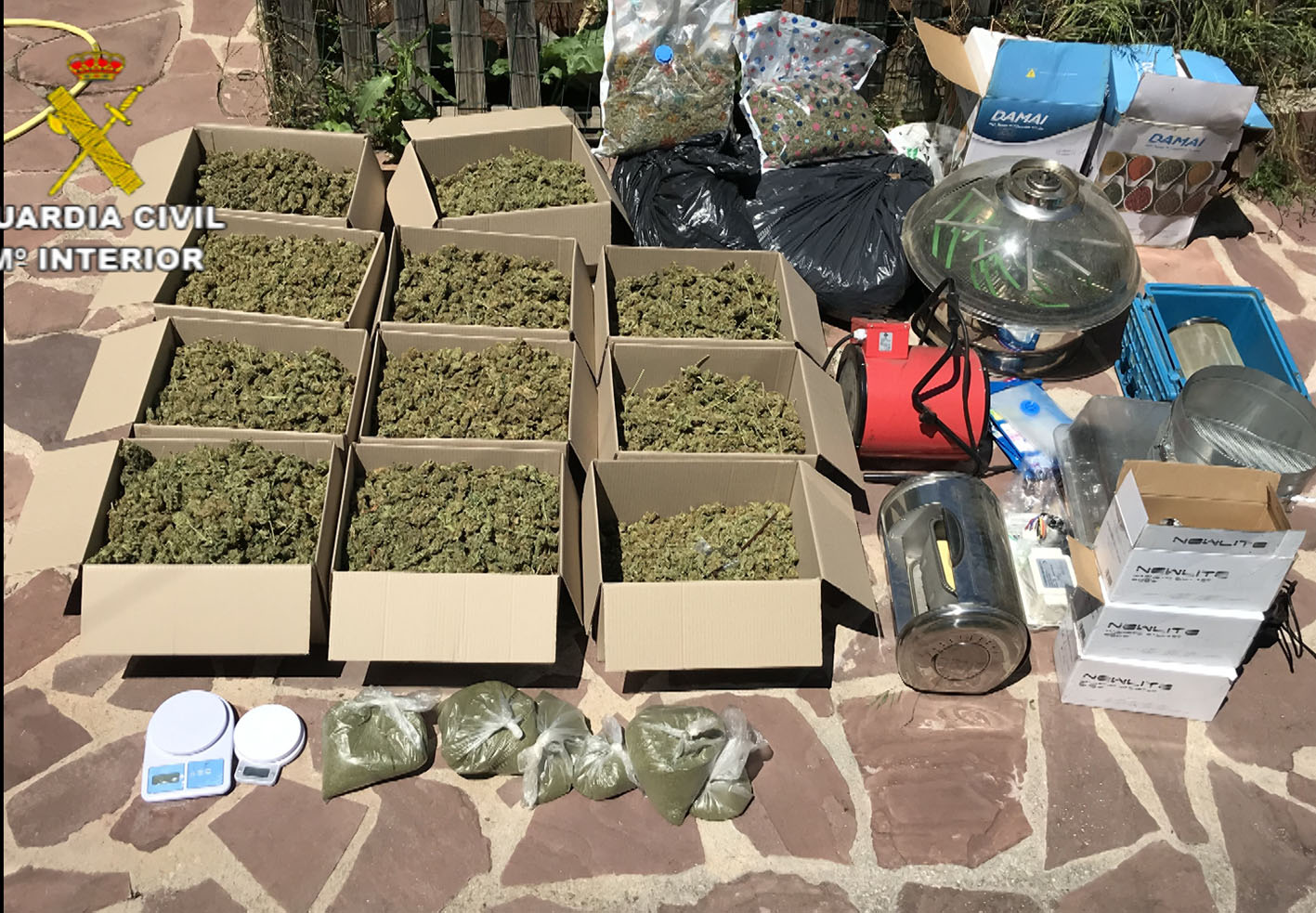 En total, había 23 kilos de marihuana.