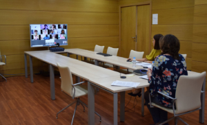 Patricia Franco, consejera de Economía, Empresas y Empleo, durante la videoconferencia con los representantes del sector artesano.