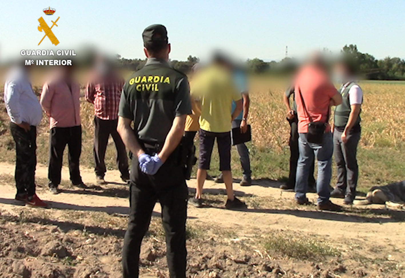 Inspectores de trabajo y agentes de la Guardia Civil colaboran en la detección de posibles fraudes en las fincas agrícolas.