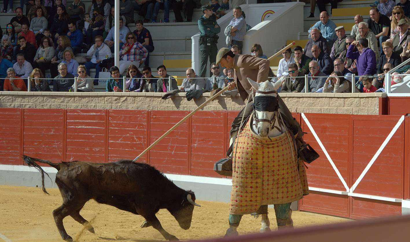 Certamen Alfarero de Plata 2019