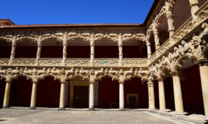 Patio de los Leones. Palacio del Infantado.