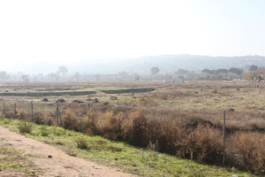 Yacimiento arqueológico de la Vega Baja.