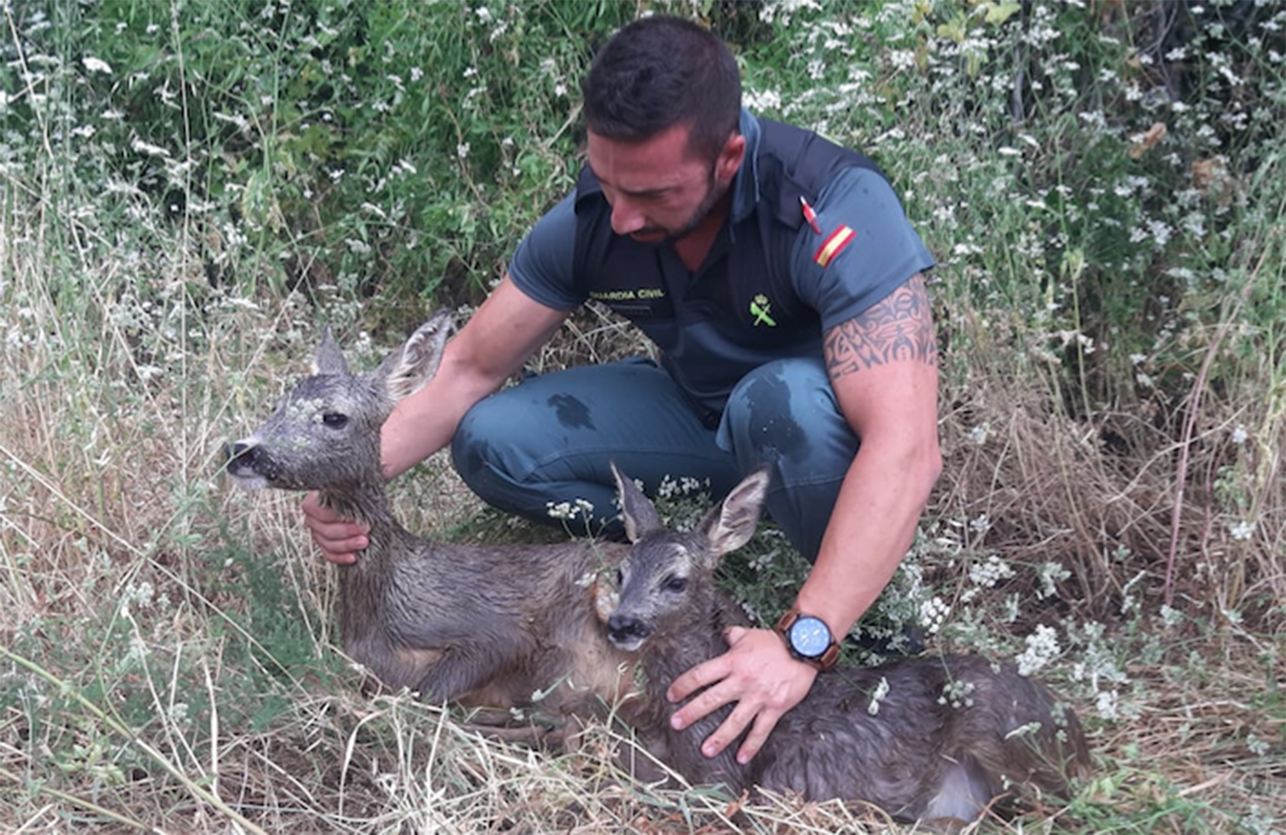 Un agente de la Guardia Civil, junto a los dos animales ya rescatados.