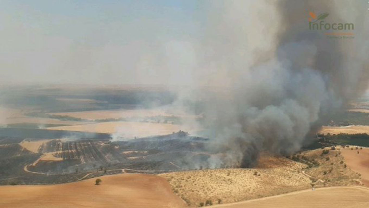 El incendio forestal de Albarreal de Tajo no ha afectado a ninguna zona de arbolado.
