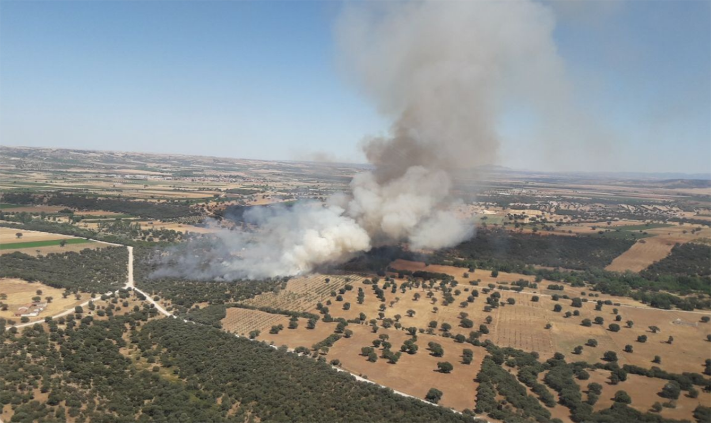 El incendio forestal en Malpica de Tajo se ha detectado sobre las cuatro y media de la tarde.