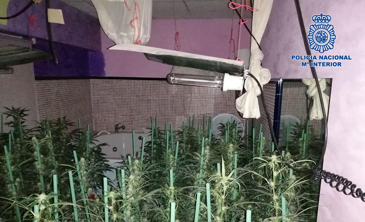 El laboratorio de marihuana estaba en el mismo local en el que se desarrollaban actividades de ocio.