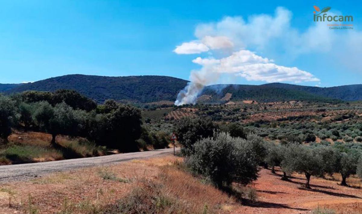 Detalle del incendio declarado en el término de Espinoso del Rey